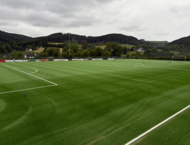 Sportplatzgrün – wird … !!!