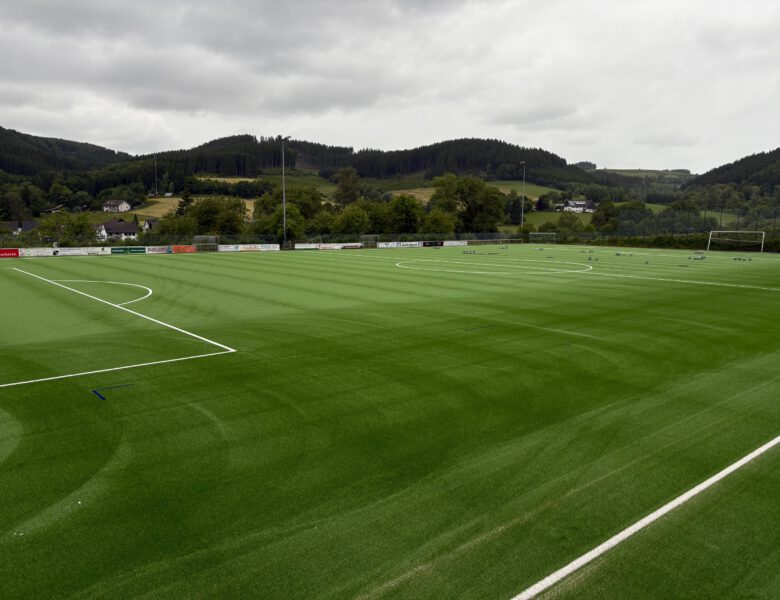 Sportplatzgrün – wird … !!!