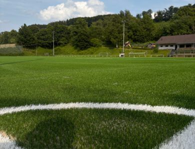 Sportplatzgrün am 02.06.25